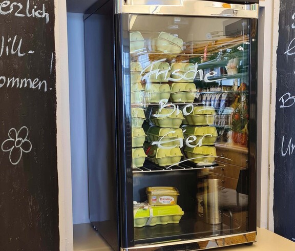 Eierkartons im Kühlschrank